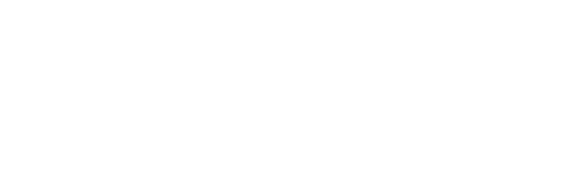 logo denuo